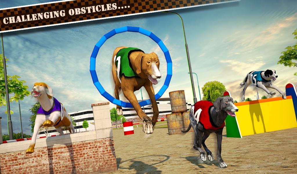 Dog Race & Stunts 2016 Game Screenshot
