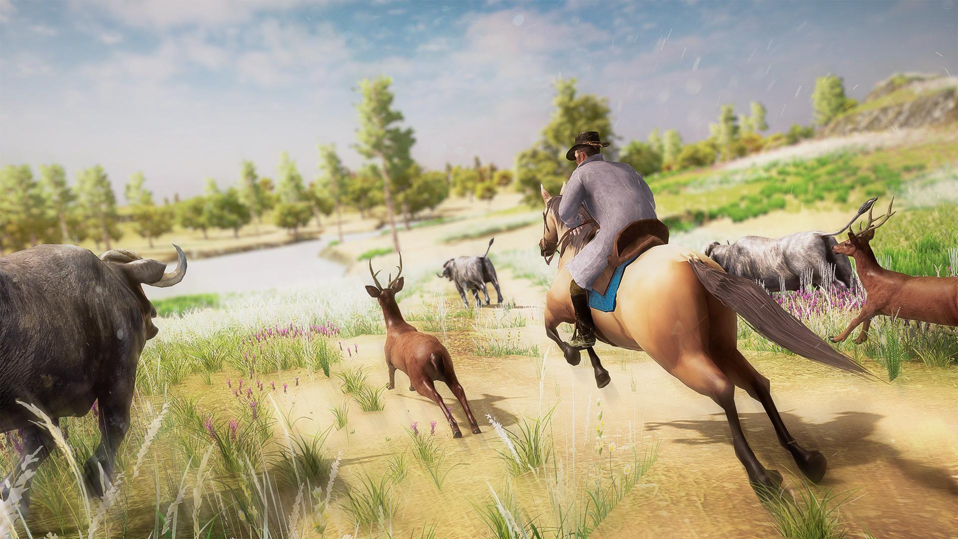 Cowboy Rodeo Rider- Wild West screenshot game