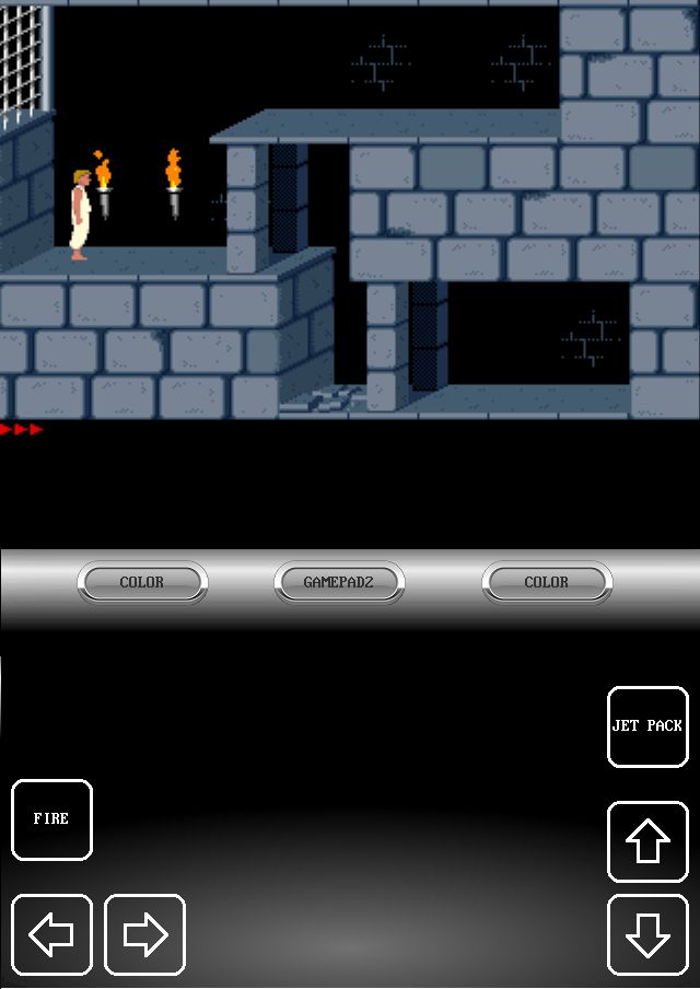 Screenshot of Prince Of Persia 1