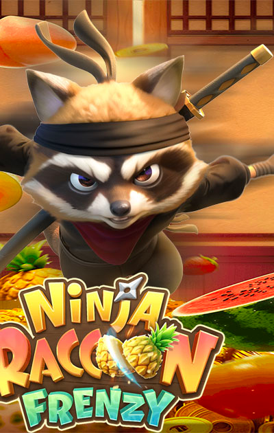 Ninja Raccoon