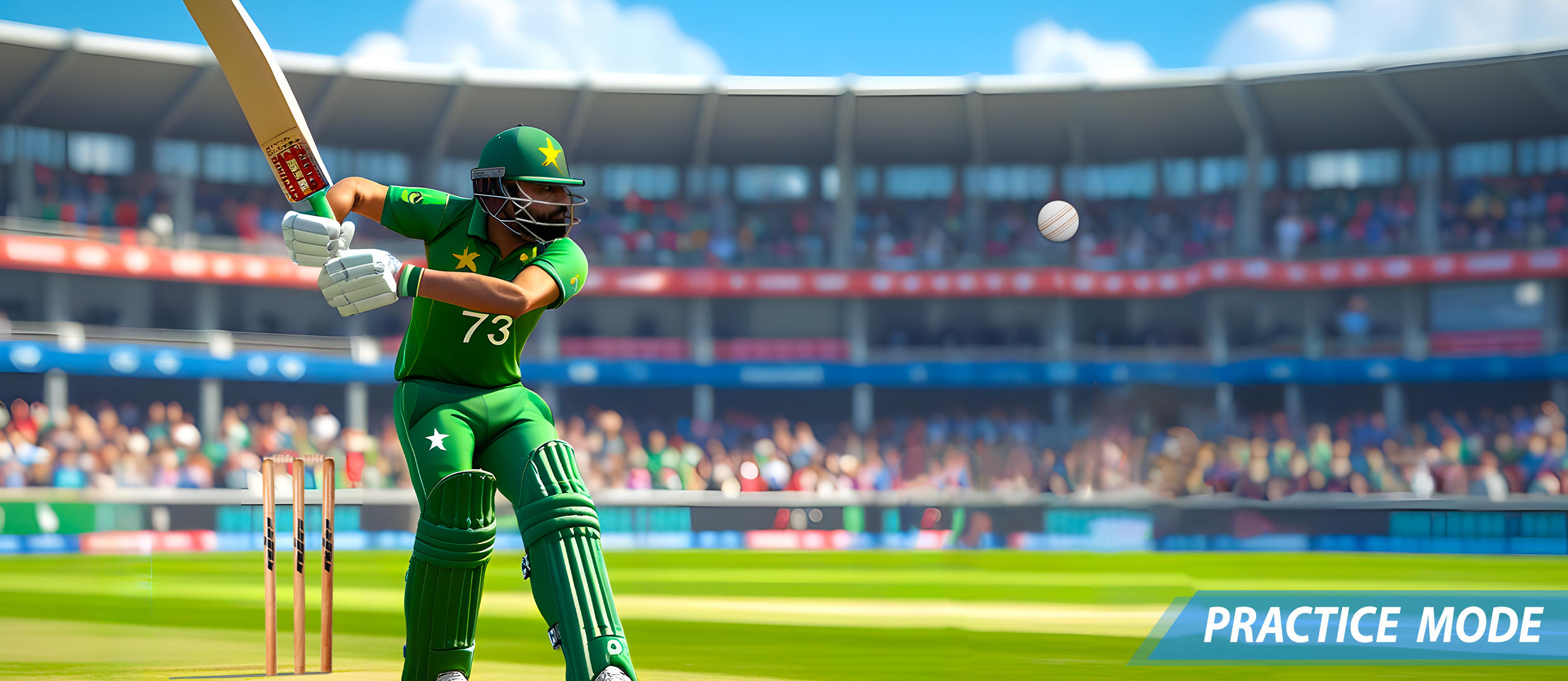 Cricket Games Real World Match Game Screenshot
