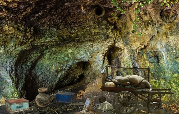 Can You Escape Bear Cave Game Screenshot