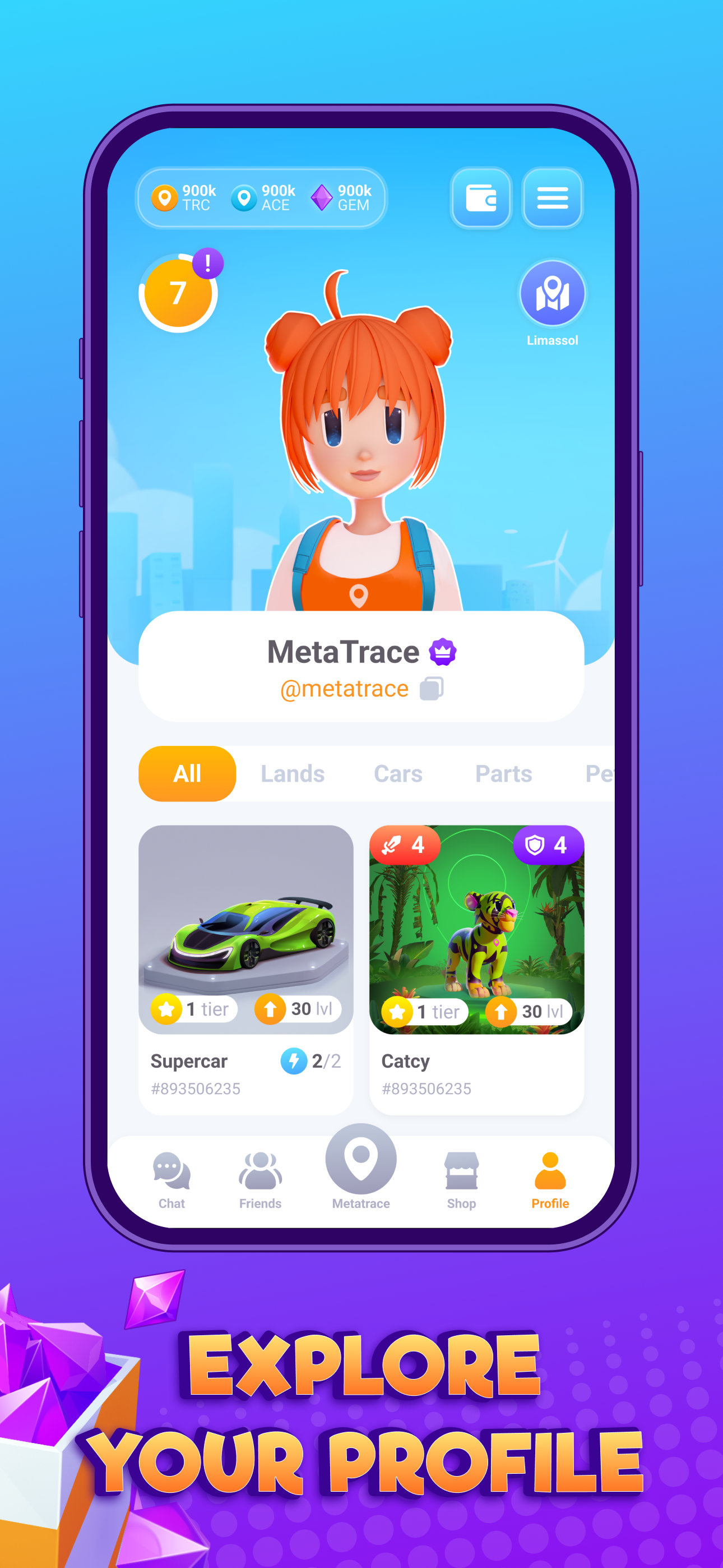 Screenshot of MetaTrace