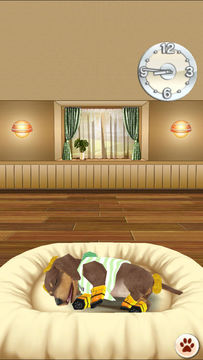 My Dog My Room Premium Game Screenshot