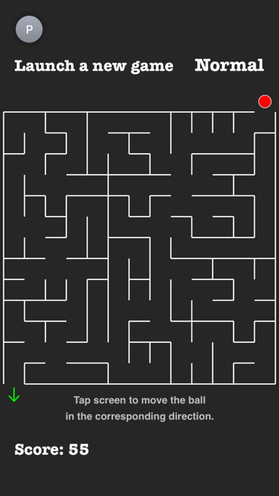 Infinity Maze Game Screenshot