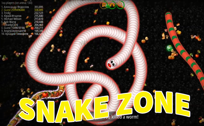 Snake Zone : Worm.io ภาพหน้าจอเกม