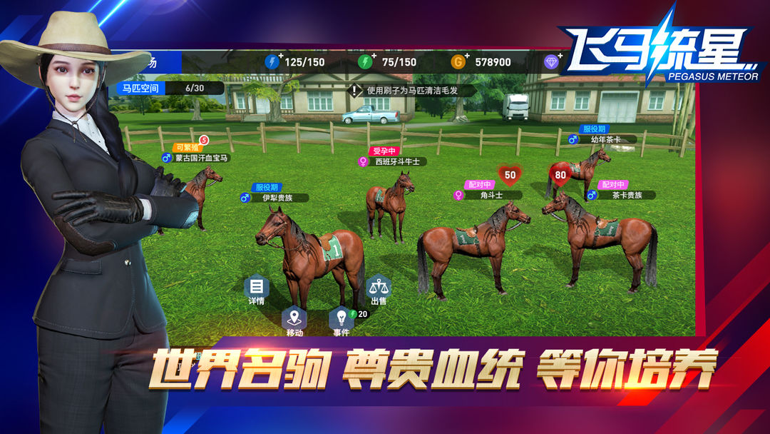 飞马流星 screenshot game