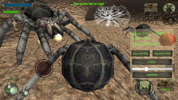 Spider Nest Simulator - insect Game Screenshot