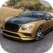 Car Drive Bentley Continental