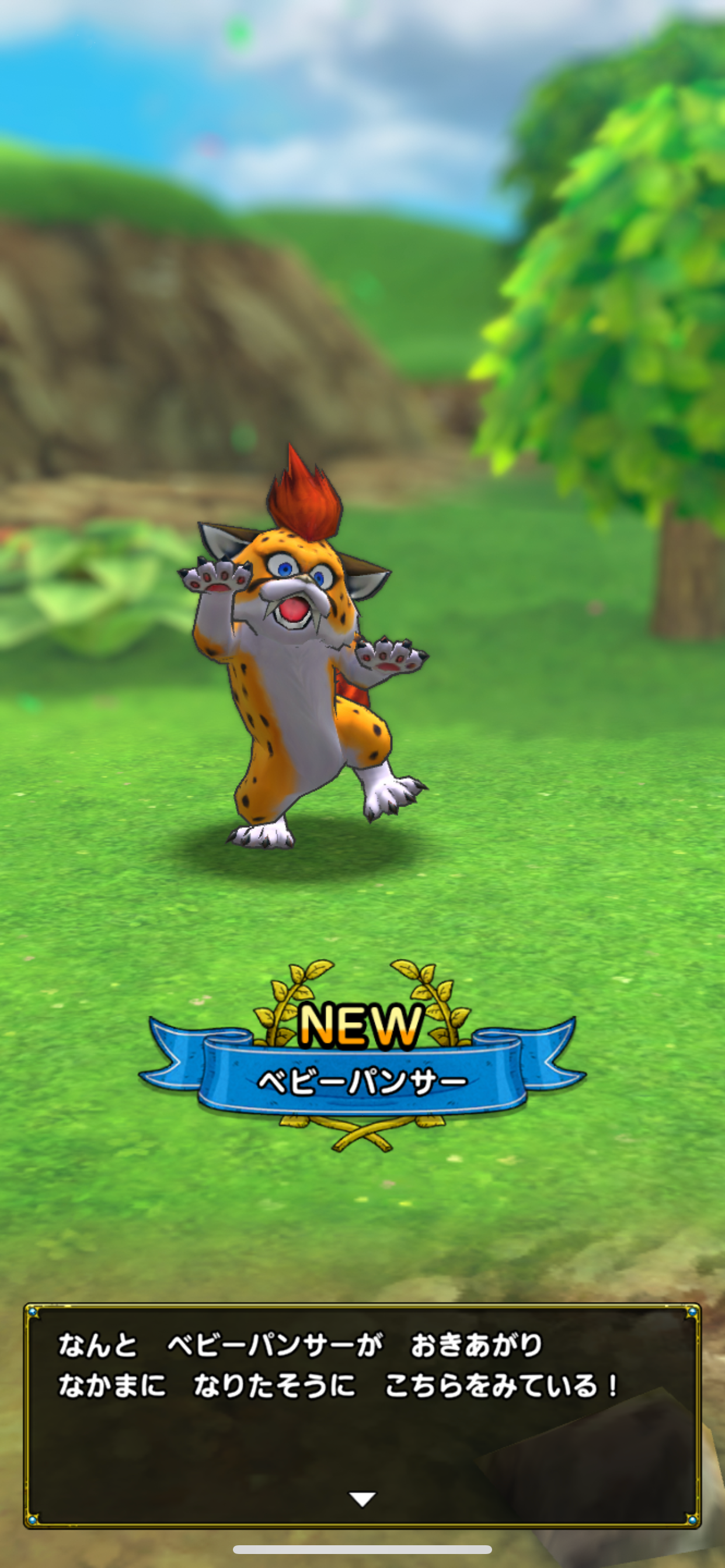 ドラゴンクエストタクト Game Screenshot