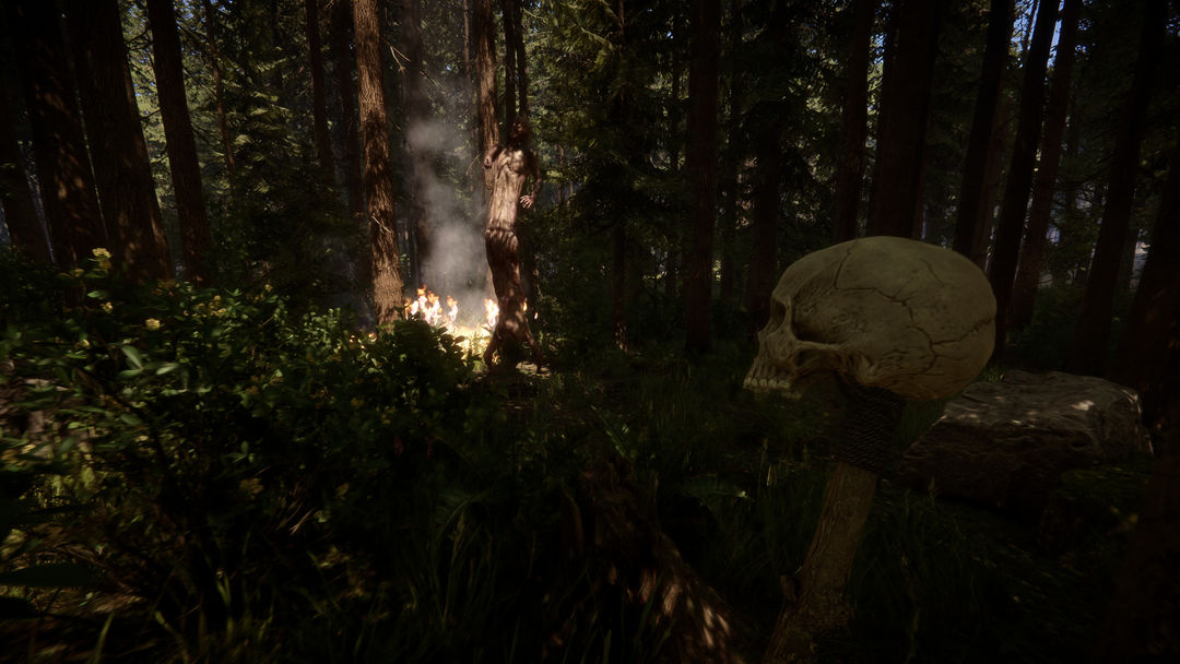 Screenshot of Sons Of The Forest