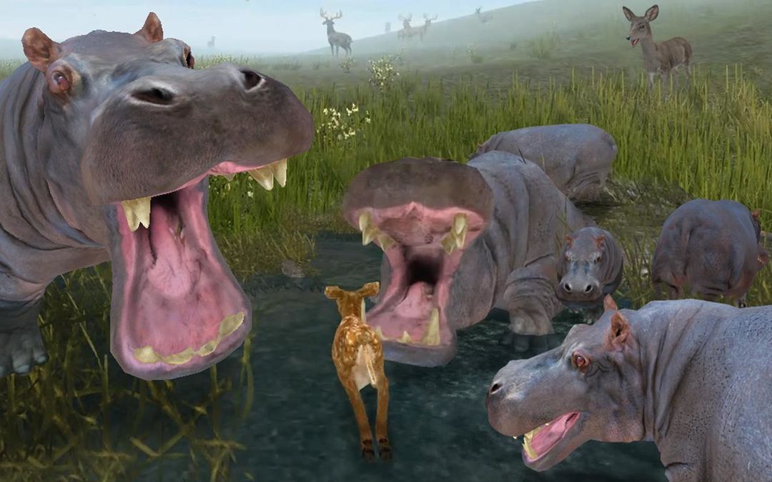 Life Of Deer screenshot game
