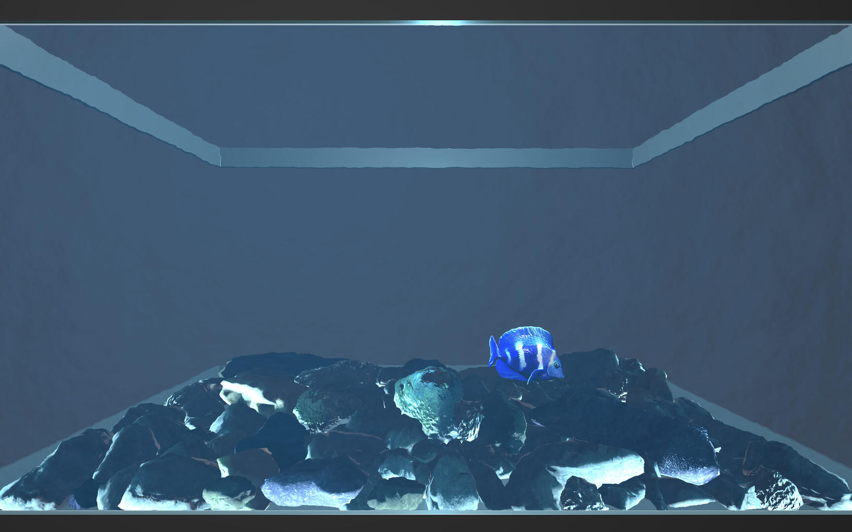 Aquario Game Screenshot