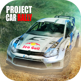 Rally Car racing PRO