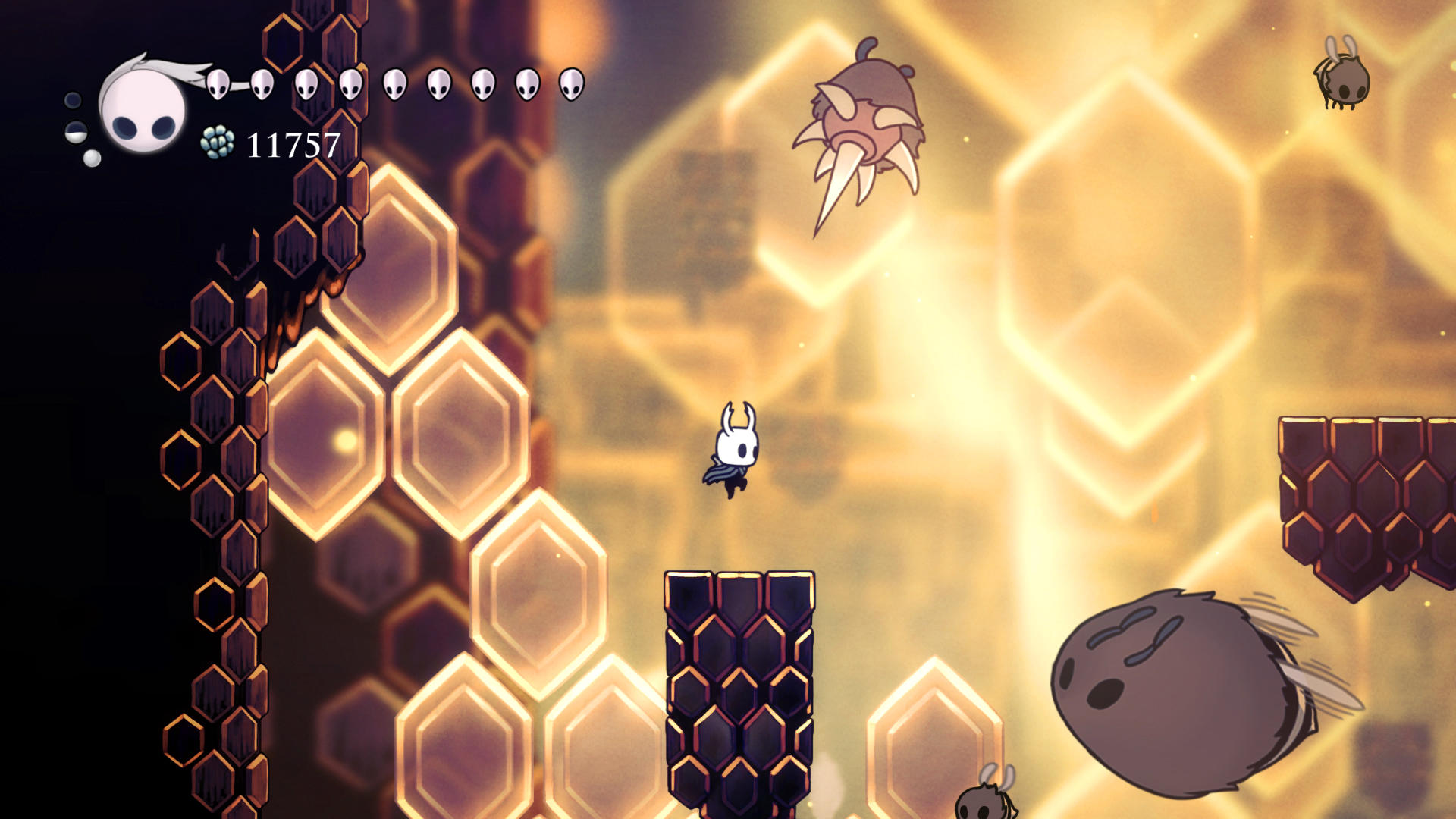 Hollow Knight Game Screenshot