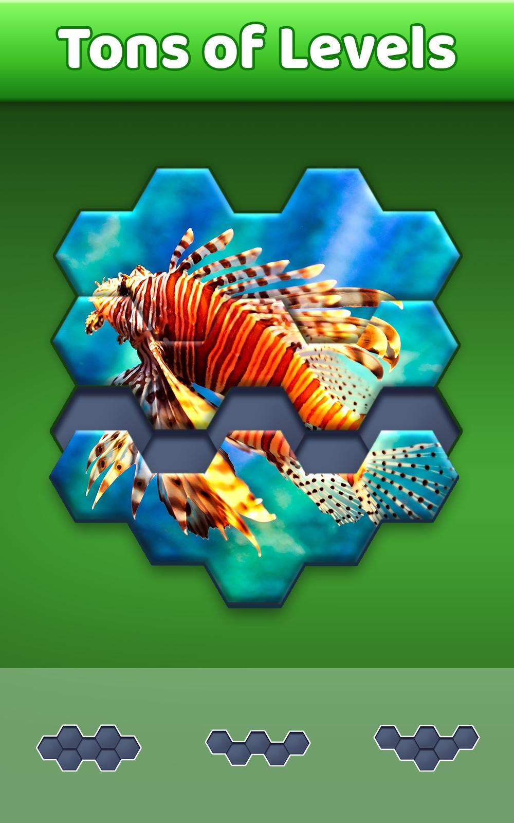 Hexa Jigsaw Puzzle ® Game Screenshot