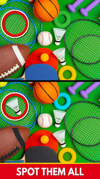 Find The Differences - Spot it Game Screenshot