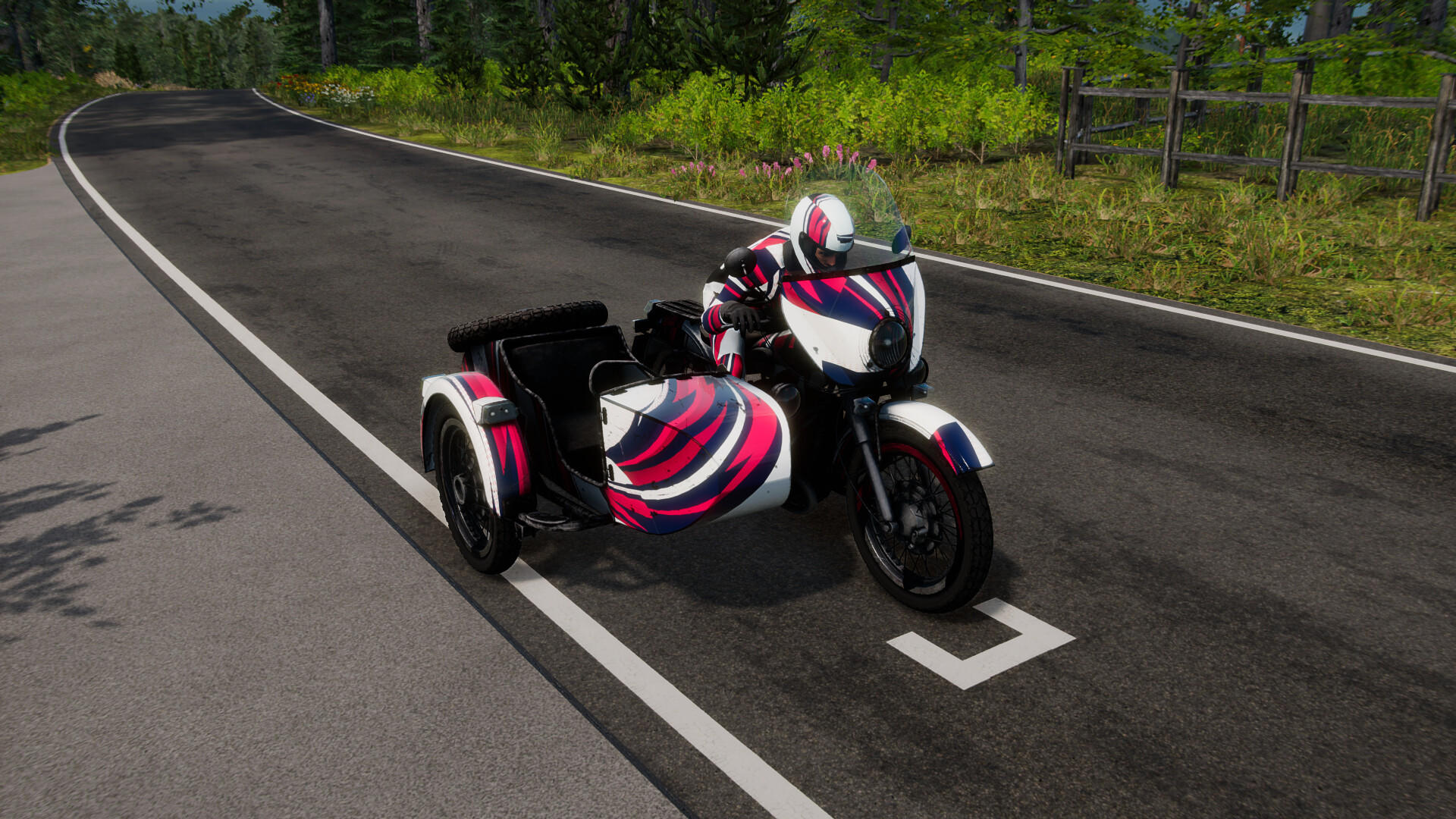 Screenshot 8 of Sidecar Evolution 2024 