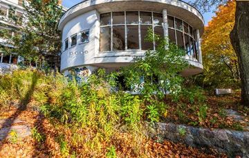 Escape Games- Abandoned Monkey 遊戲截圖