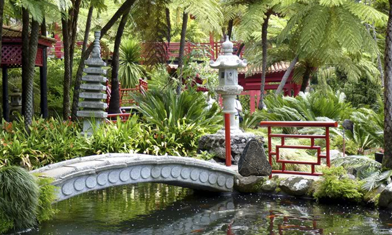 Cuplikan Layar Game Monte Tropical Garden Escape