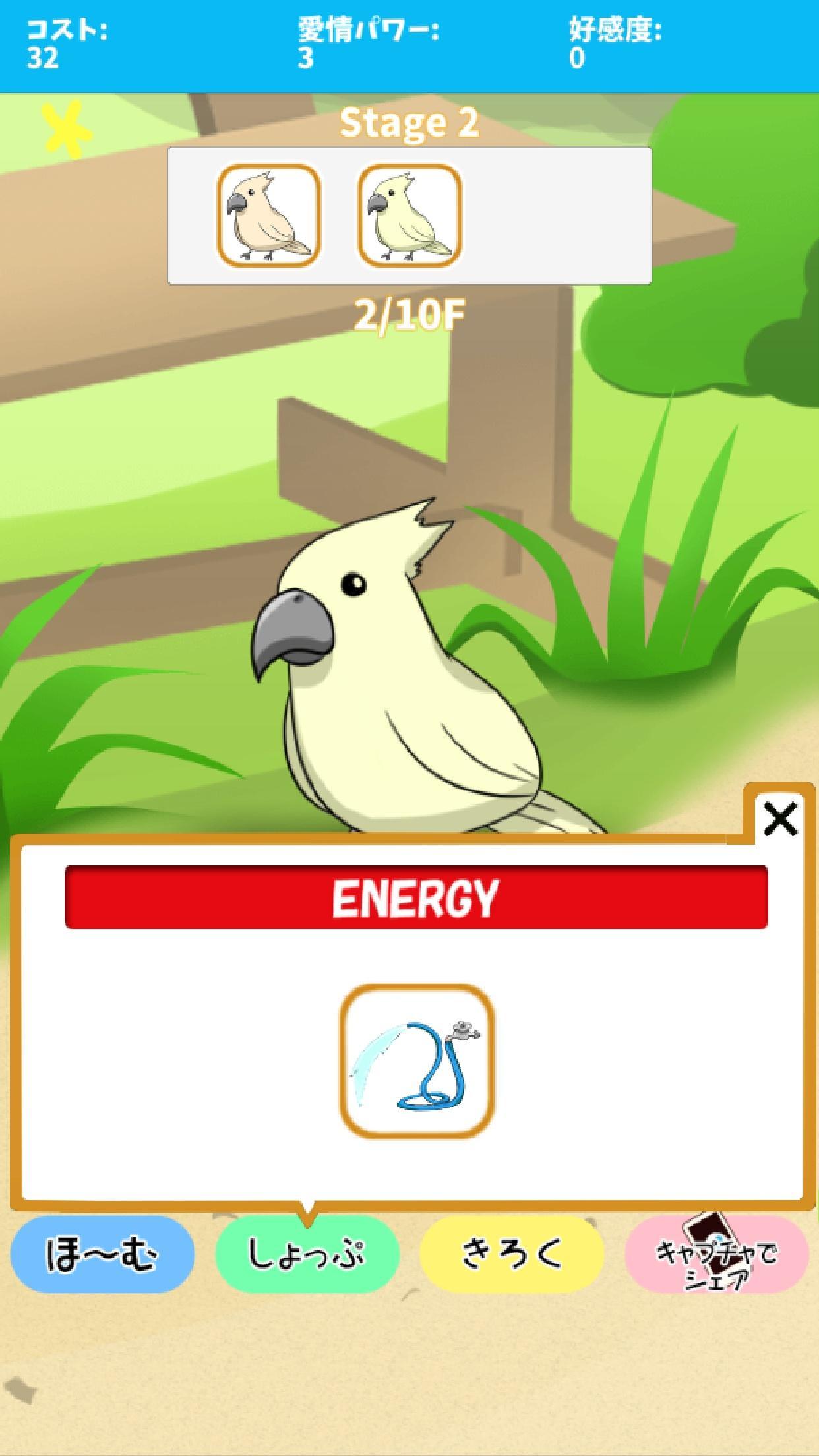 birdwatch ~healing-game~ Game Screenshot
