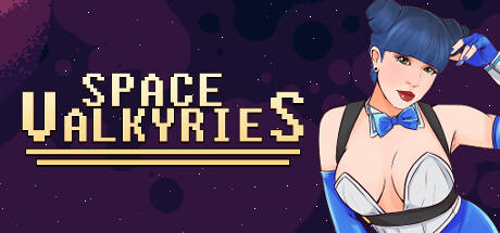 Banner of Space Valkyries 