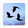 GUNTAI Free