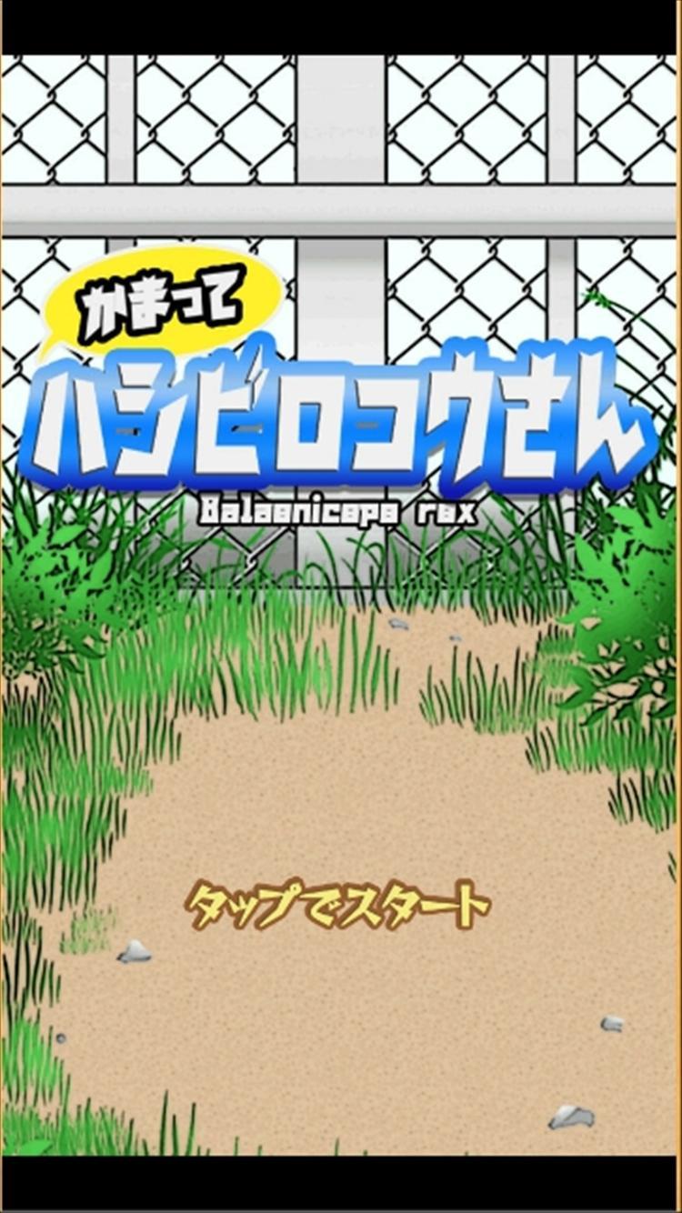 Kama' and Shoebill san! Game Screenshot