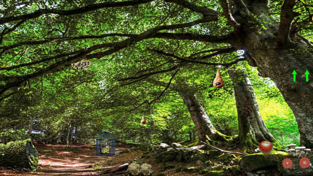 Escape Games Day-330 게임 스크린샷