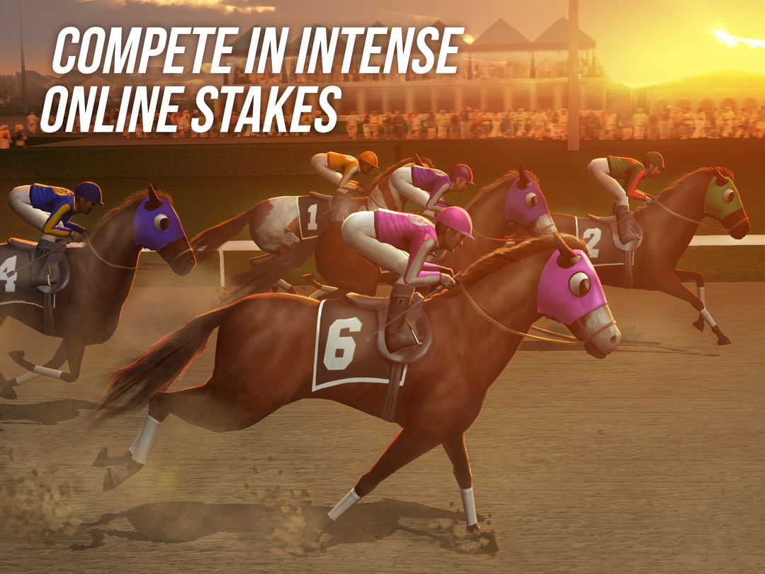 Screenshot of Photo Finish Horse Racing