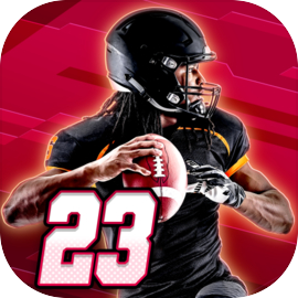 Flick Quarterback 23