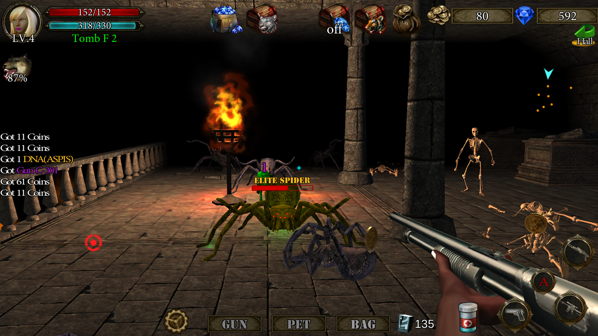 Dungeon Shooter : Dark Temple Game Screenshot