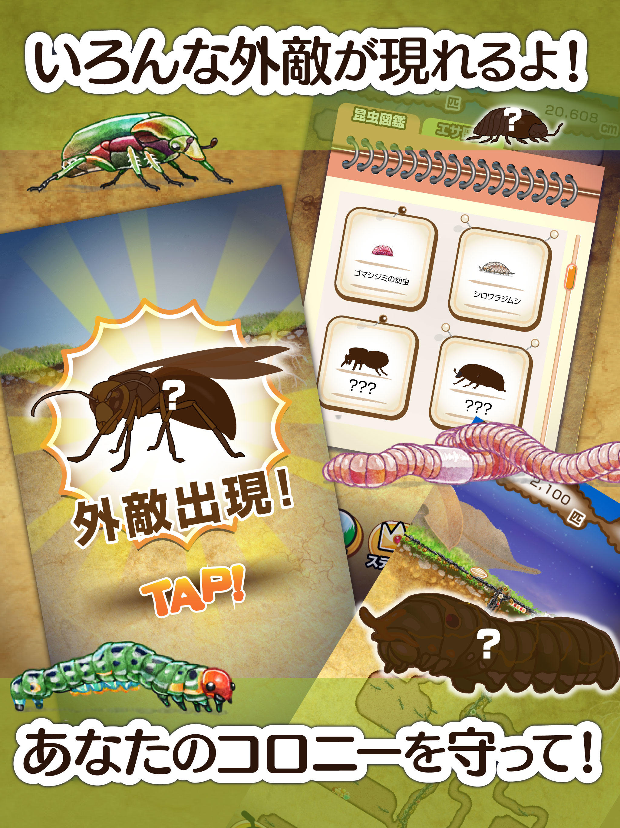 アリの巣コロニー 放置観察育成ゲーム ゲームのスクリーンショット