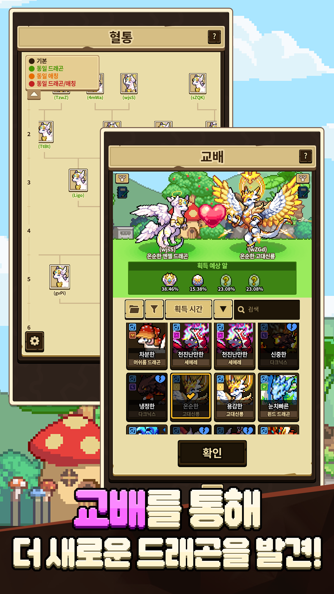 드래곤빌리지 컬렉션(12) Game Screenshot
