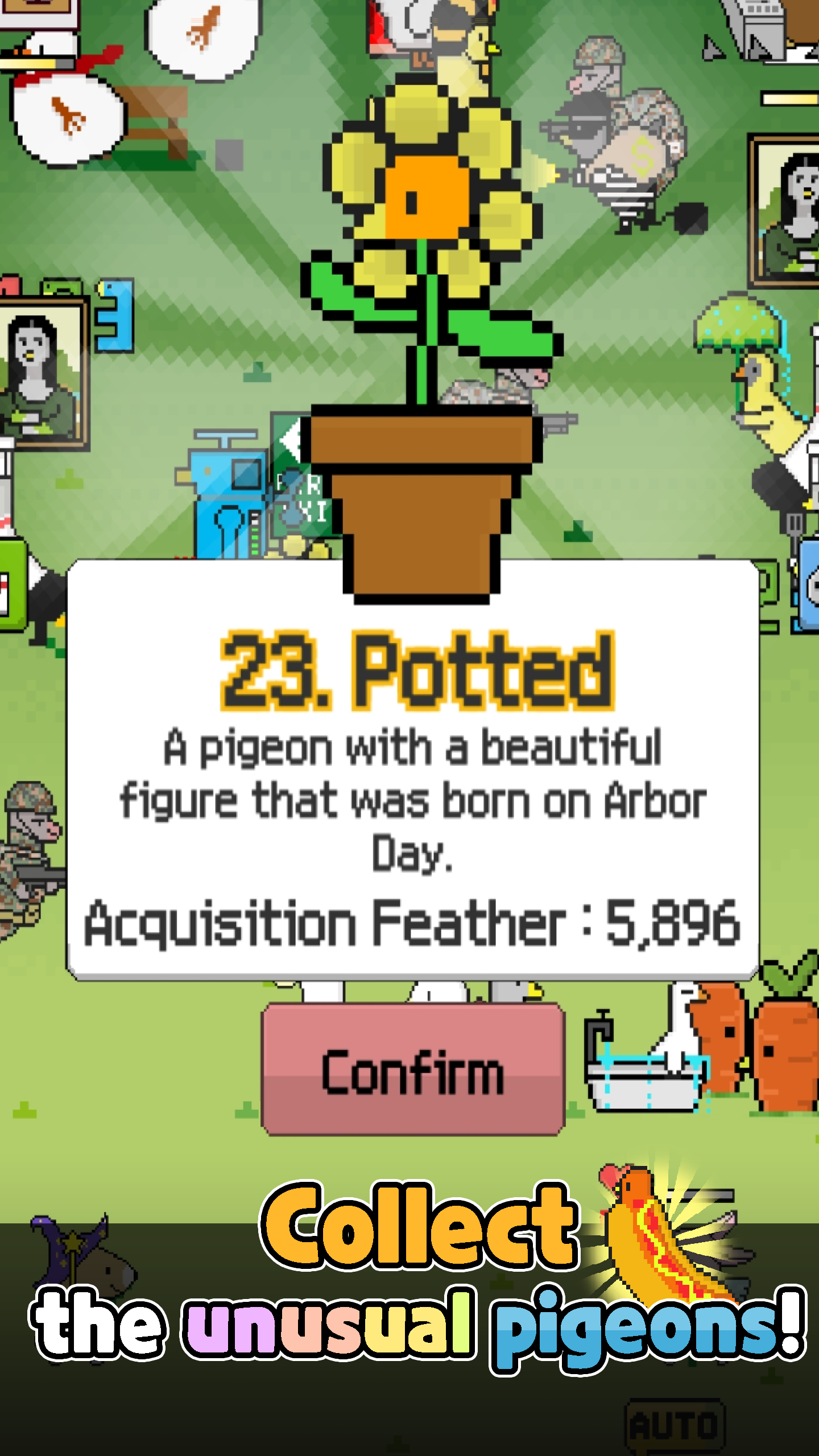 Pigeon Raising Game Screenshot