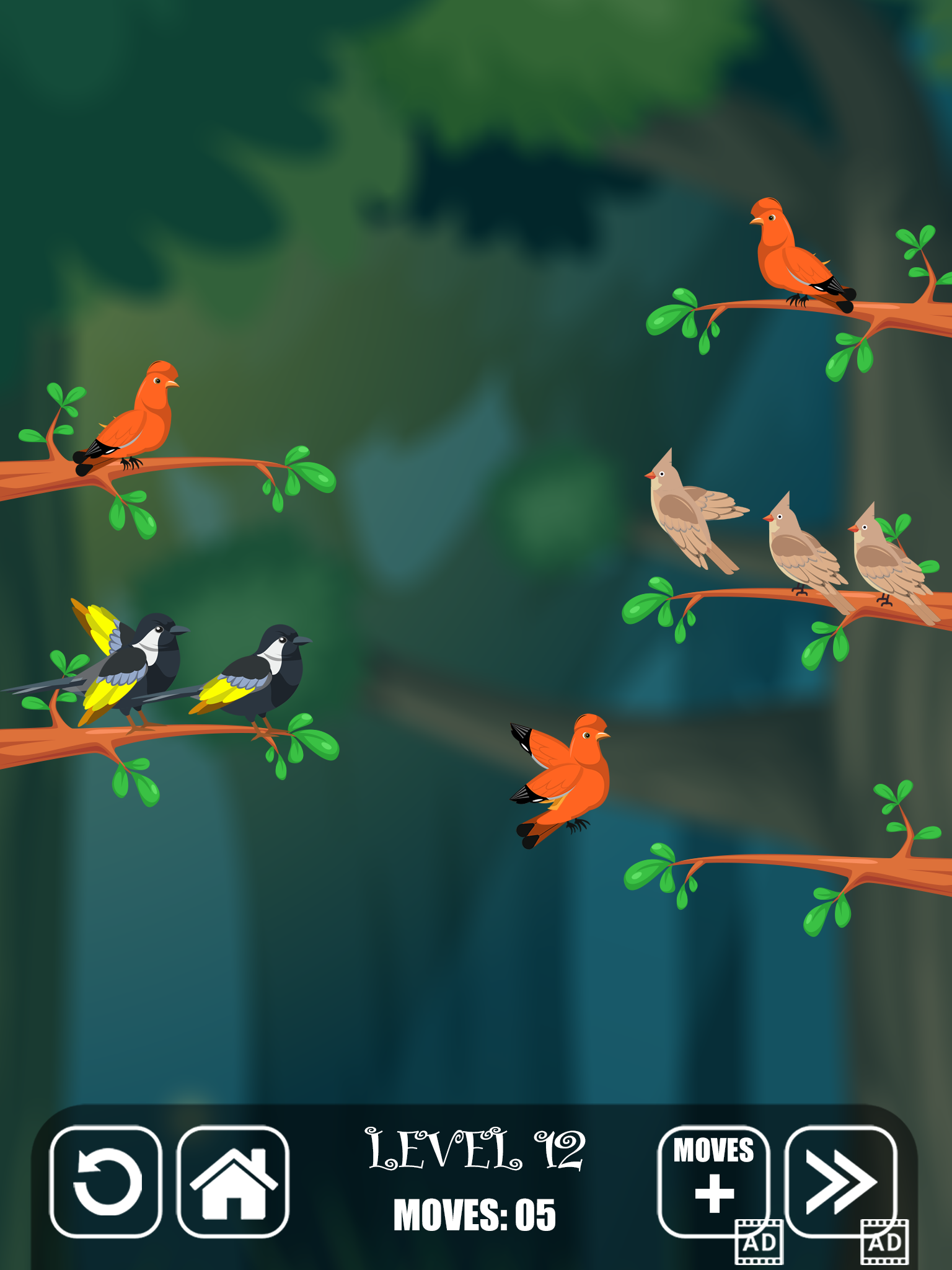 Bird Sorting Fun Puzzle Game android iOS apk download for free-TapTap