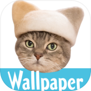 Wallpaper: Topi Rambut Kucing
