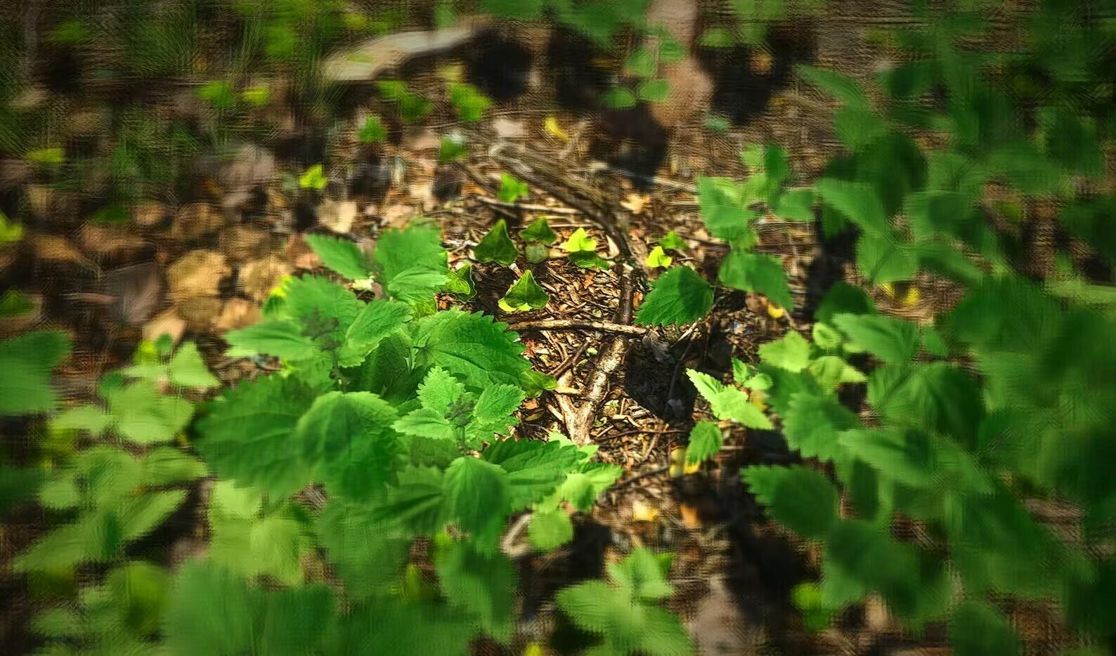 Screenshot 4 of THE DEAD ZONE™ 