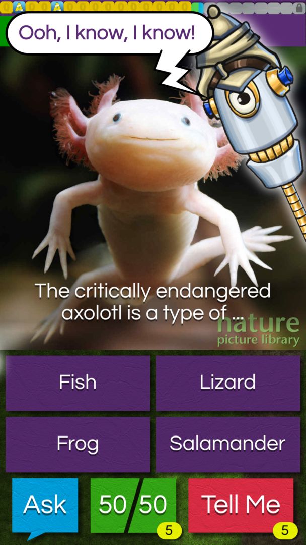 Screenshot of QuizTix: Animal Pics Trivia - Nature Image Library