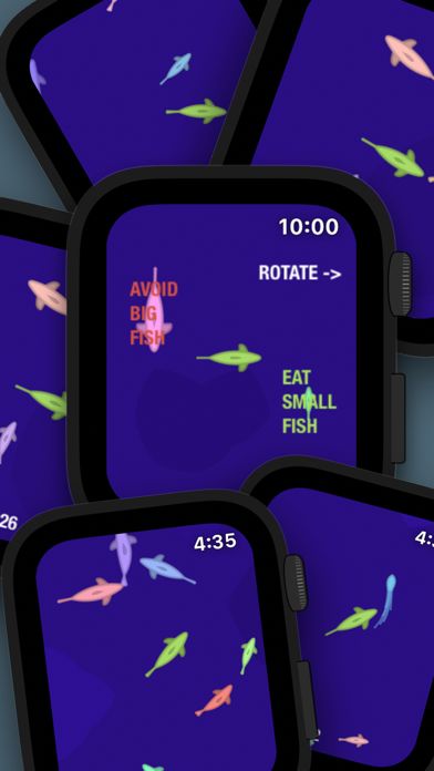Fish in a Watch ภาพหน้าจอเกม