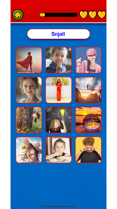 Captura de Tela do Jogo Learn Icelandic Flashcards