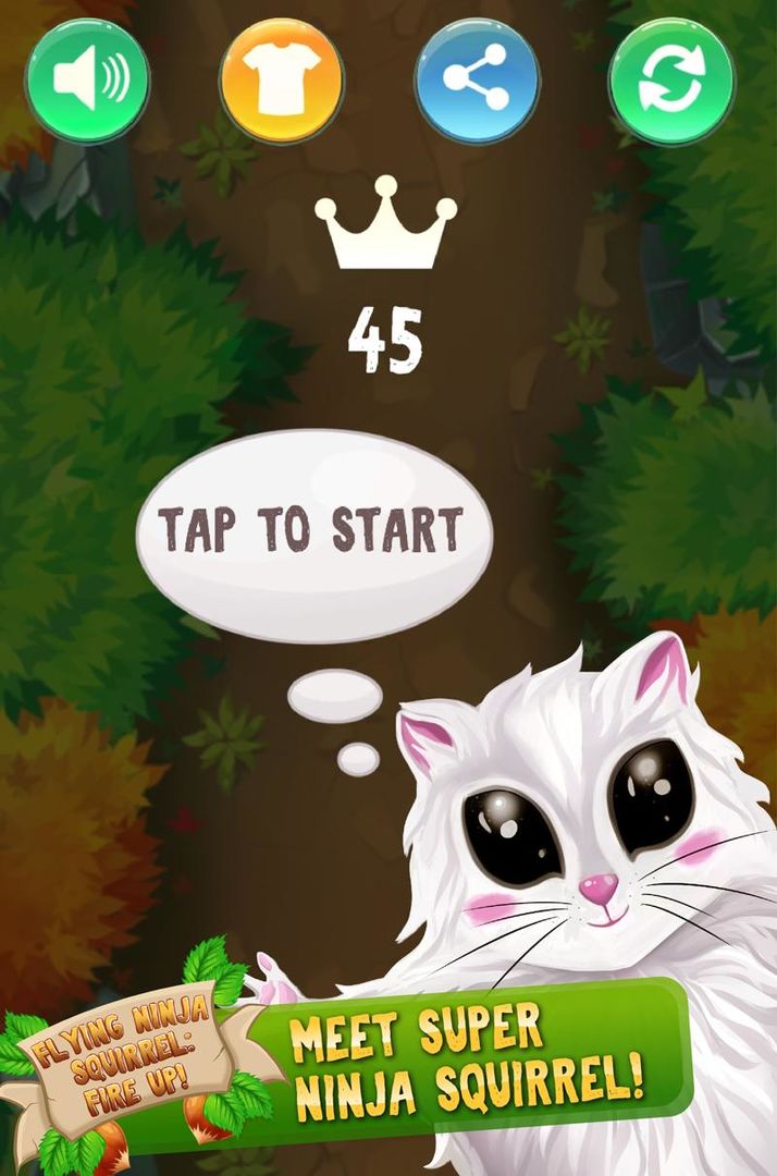 Flying Ninja Squirrel: Nuts Hunt screenshot game