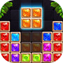 Puzzle Block Diamond Master