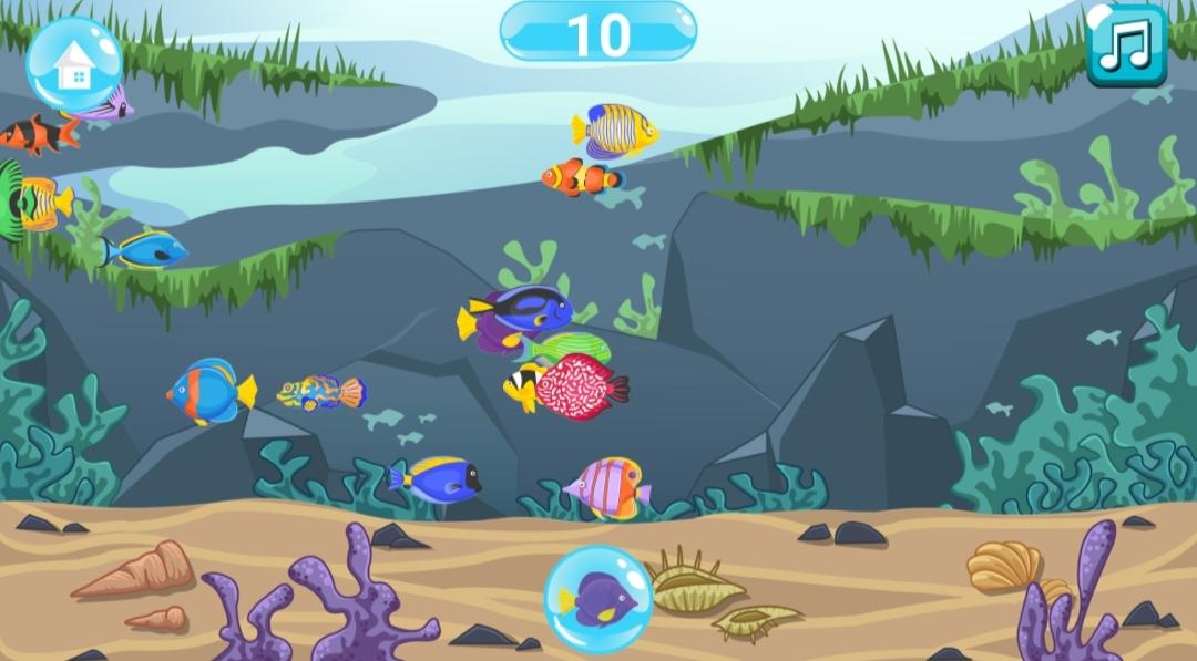Find The Fish 게임 스크린샷