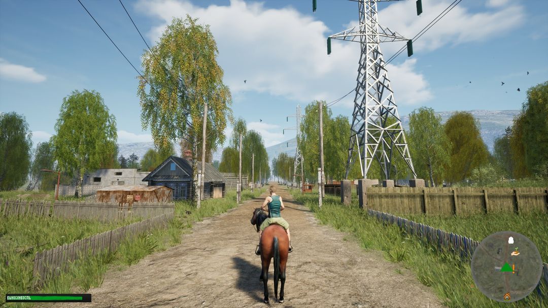 Screenshot of Russian Village Simulator