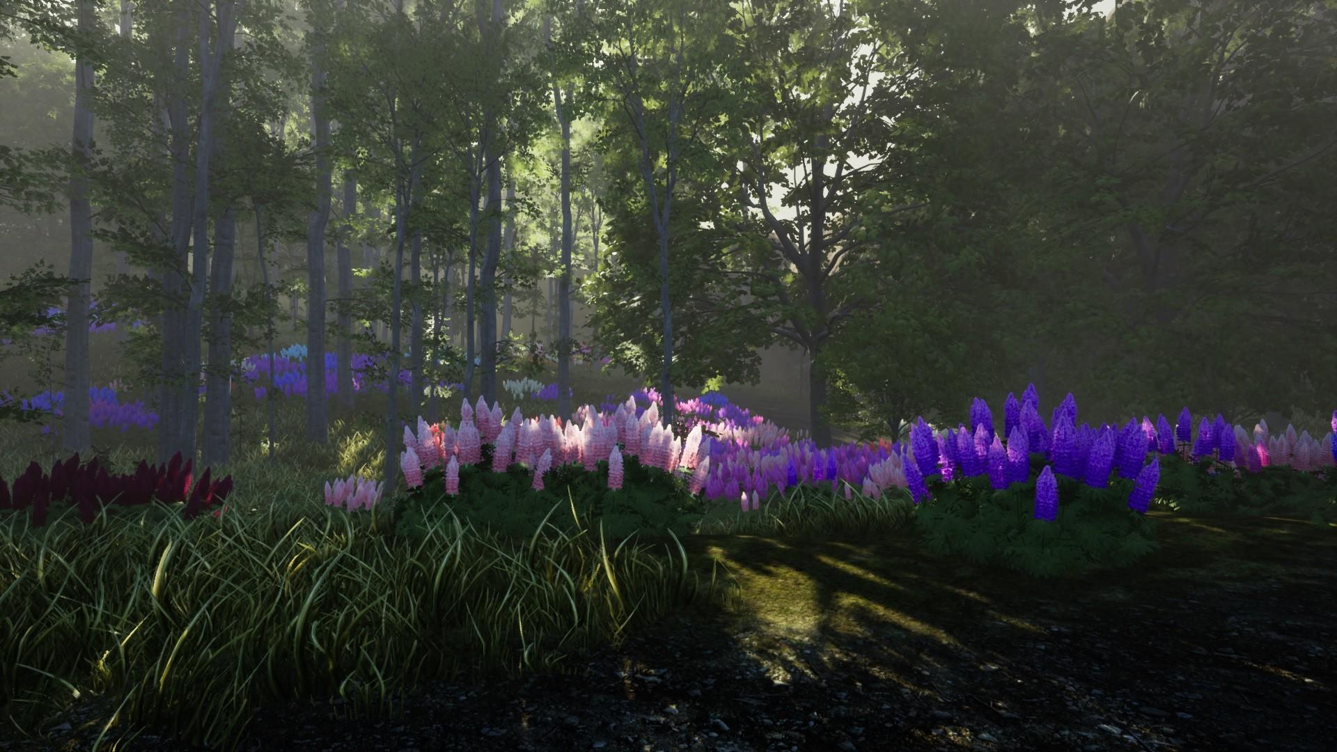 Nature Hunter Game Screenshot