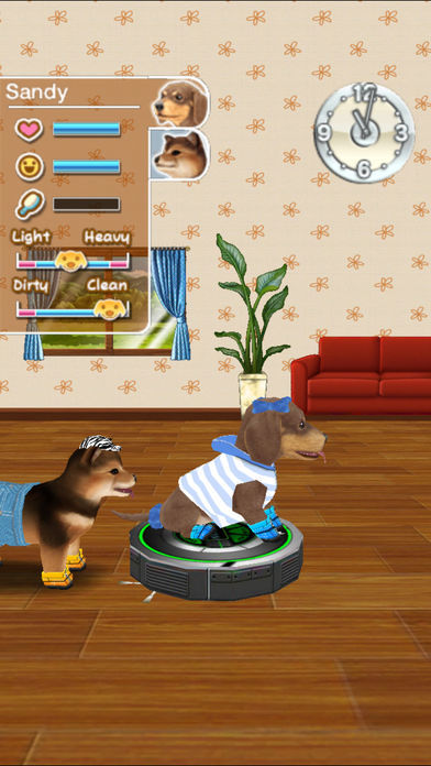 My Dog My Room Premium screenshot game