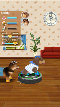My Dog My Room Premium Game Screenshot
