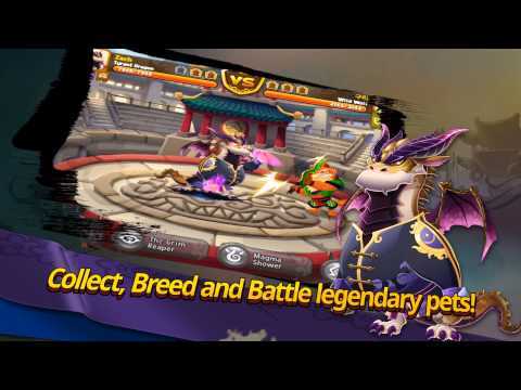 Screenshot of the video of Kung Fu Pets