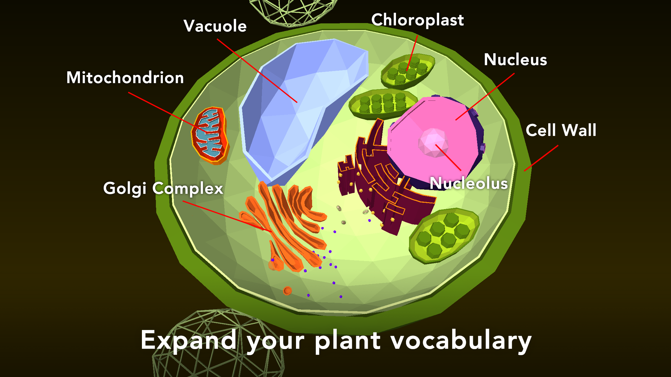 NAMOO - Wonders of Plant Life ภาพหน้าจอเกม